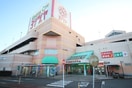 ヨシヅヤ　大口店(スーパー)まで1600m ハッピーフォレストⅡ