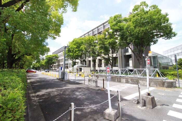 名古屋大学(大学/短大/専門学校)まで1950m サンメゾン安田