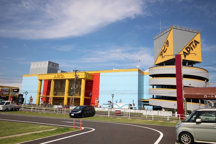アピタ(スーパー)まで1100m 川島ビル