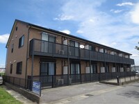 アンプル－ルリ－ブル彩美