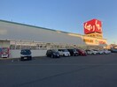 スギ薬局刈谷松栄店(ドラッグストア)まで451m パレス石川