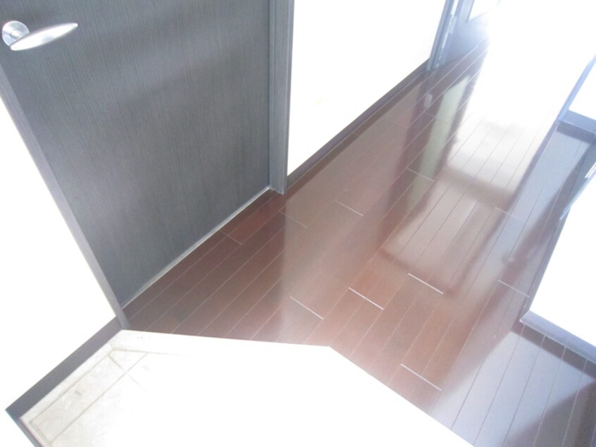 玄関 ビオラ名駅西