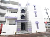 モールセゾン原