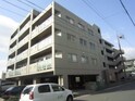 完成写真
