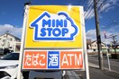 ミニストップ(コンビニ)まで244m グランディーズ新栄
