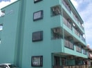 Ｌｉｍｐｉａ　Ｋａｚｕの外観