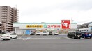 スギ薬局　大野店(ドラッグストア)まで140m 長喜マンション