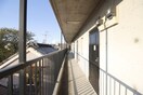 その他 フラット１８