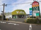 Vドラッグ　天白島田店(ドラッグストア)まで100m さんごうハイツ