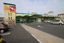 メグリア(スーパー)まで280m シャ－ウッドＭＩ