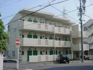 ロジンクス  アサイ