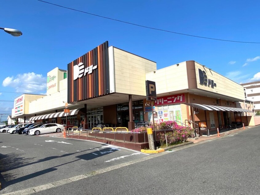 ドミー 大樹寺店(スーパー)まで535m アリエッタビアンカ