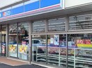 ローソン(コンビニ)まで301m サンフラワ－