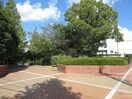 牧野ヶ池緑地(公園)まで810m グリシーヌⅡ
