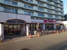 アオキスーパー烏森店(スーパー)まで231m スプレンドール　インフィオーレ