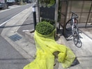 その他 SUN CLAIR