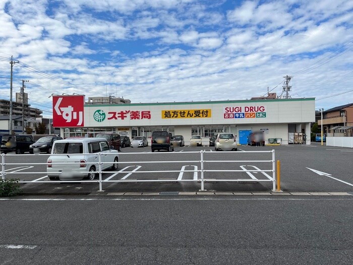 スギドラッグ東栄店(ドラッグストア)まで236m パームタウン　ノース