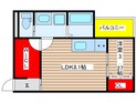 ilusion東海通の間取図