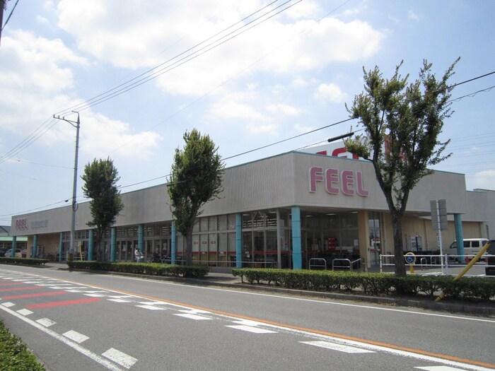 フィール岡崎柱店(スーパー)まで600m ESPERANZA羽根西