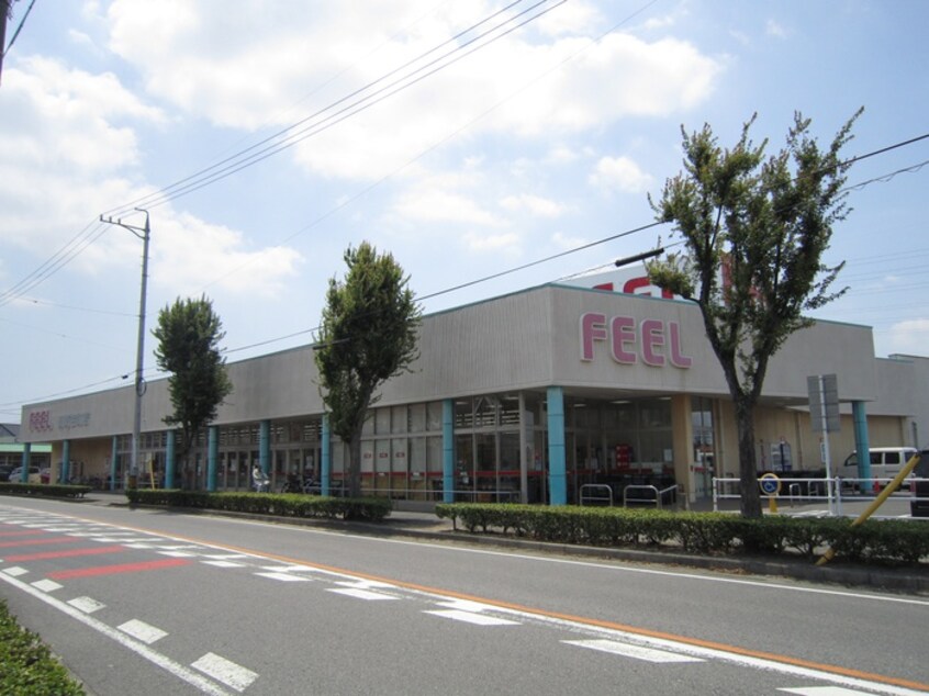 フィール岡崎柱店(スーパー)まで600m ESPERANZA羽根西