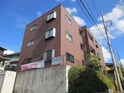 完成写真