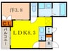 shiva apartment 1LDKの間取り