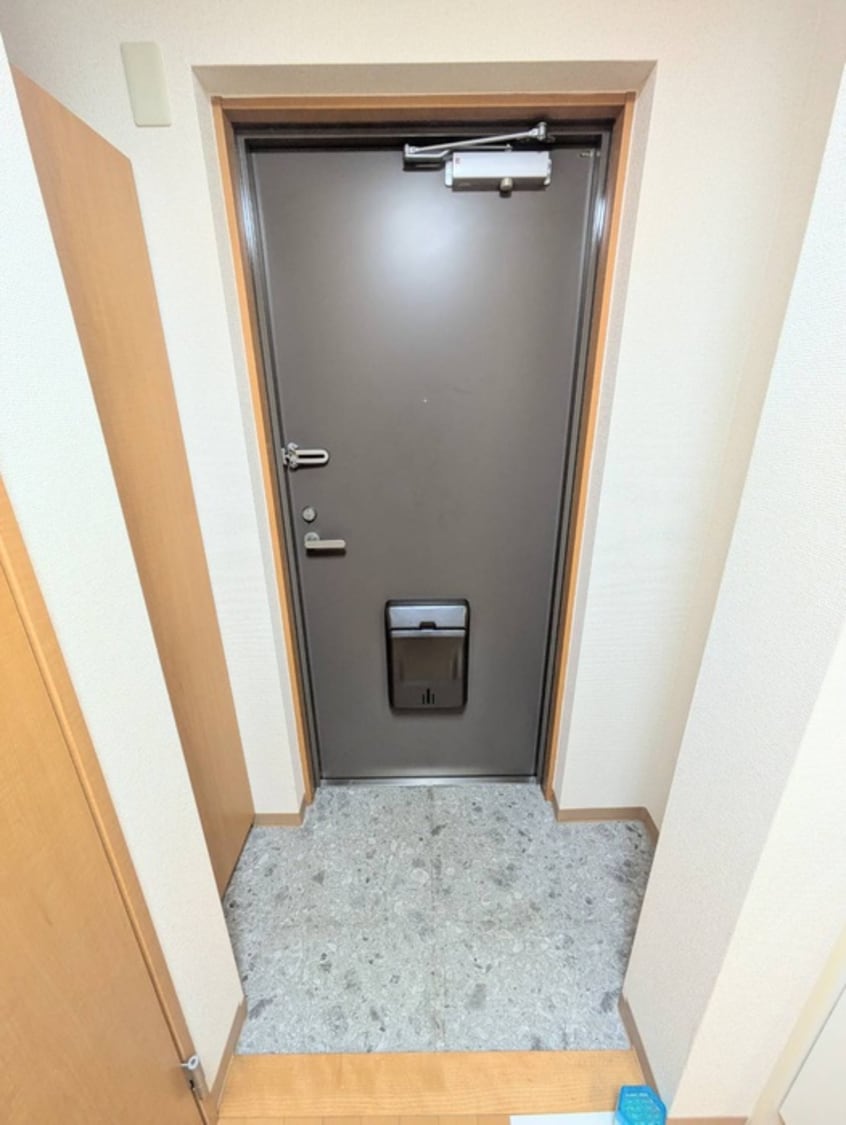 玄関 サンセリテうえの