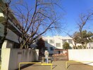名古屋市立西中島小学校(小学校)まで325m コーポやすり苑