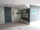 その他 ホワイトクラウド　４