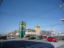 アピタ(ショッピングセンター/アウトレットモール)まで1250m ホワイトクラウド　４
