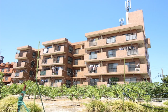 外観写真 コ－トメゾン２５