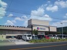 カネスエ砂美店(スーパー)まで952m ベイシティ桔梗Ⅴ