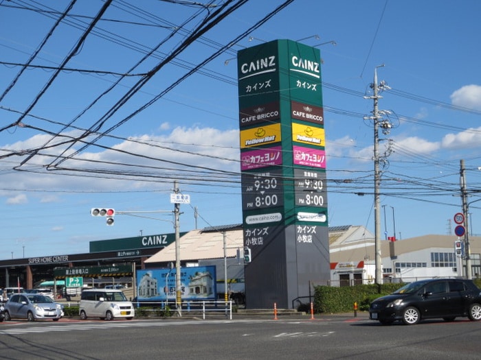 カインズホーム(電気量販店/ホームセンター)まで1100m メゾン中央