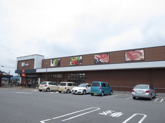 ドミー福岡店(スーパー)まで700m フルール・ド・スリジェ