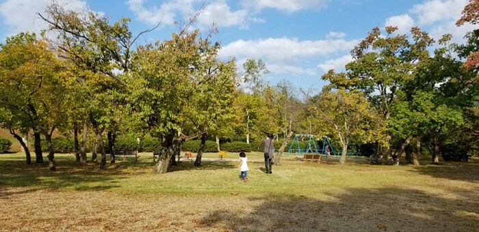 小幡緑地公園（西園）(公園)まで1296m ダイアパレス喜多山（203）
