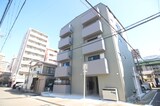 Sugarloaf Park花の木