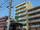 フリージアの外観