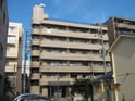 完成写真