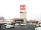 コジマ(電気量販店/ホームセンター)まで600m ネオブロ－テ