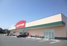 クスリのアオキ(ドラッグストア)まで1700m ネオブロ－テ