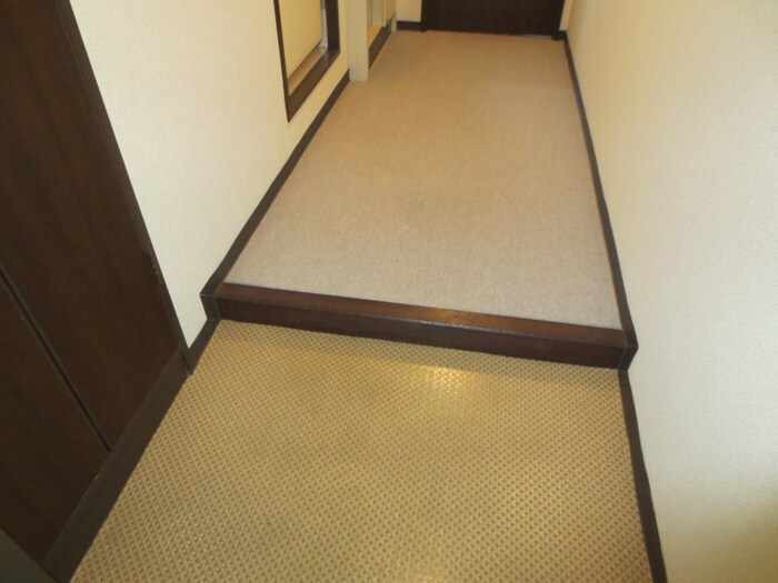 玄関 ﾗｲｵﾝｽﾞﾏﾝｼｮﾝ丸の内第6（202）