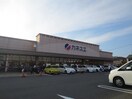 カネスエ(スーパー)まで566m ジャスミンＡ
