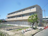 ホーリーギフト