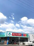 スギヤマ(ドラッグストア)まで509m ロイヤルステ－ジ