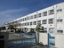 名古屋市立猪子石小学校(小学校)まで270m オリ－ブハウス