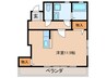 シャトレ純Ⅱ 1Rの間取り