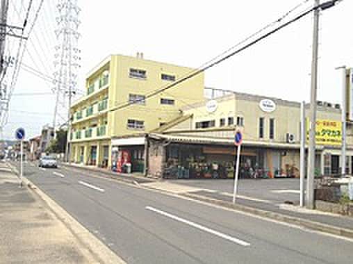 タマカネ本店(スーパー)まで30m ＯＳ・ＳＫＹﾚｼﾞﾃﾞﾝｽﾋﾙｽﾞ向台
