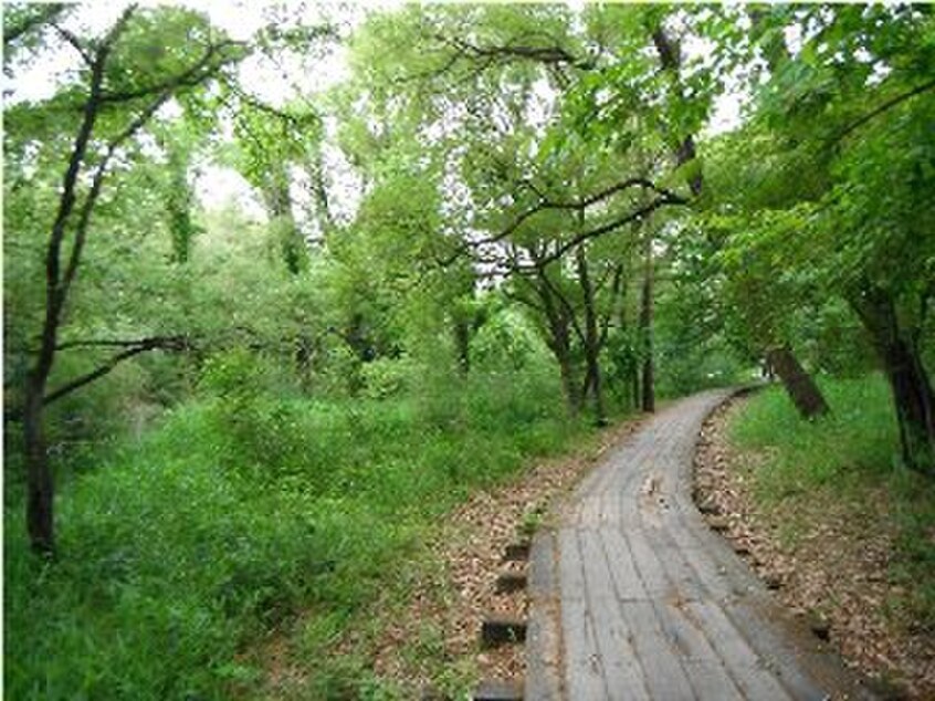 猪高緑地(公園)まで900m ハイツ月