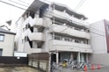 完成写真