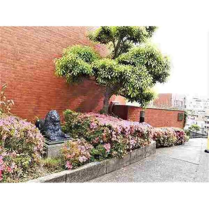 外観写真 ﾗｲｵﾝｽﾞﾏﾝｼｮﾝ覚王山第2(411)